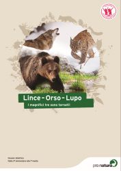 Lince Orso Lupo