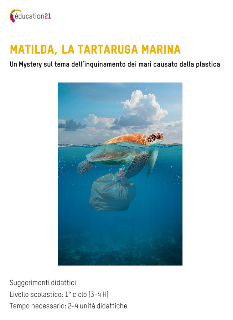 Matilda la tartaruga