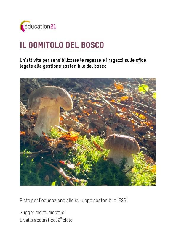 Il gomitolo del bosco C2