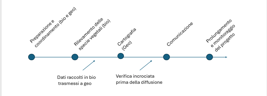 PEX104_shéma-projet-it