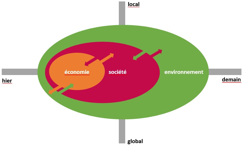 Schema EDD