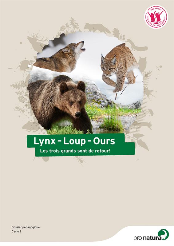 lynx loup ours